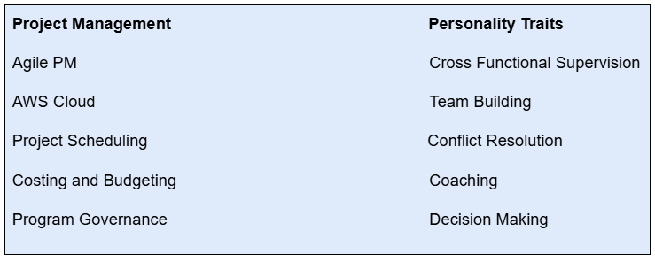 Skills section of a tech project manager